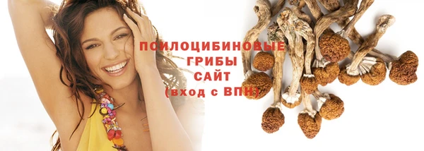 ГАЛЛЮЦИНОГЕННЫЕ ГРИБЫ Красноперекопск