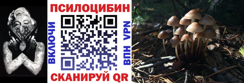 Галлюциногенные грибы Magic Shrooms  Купить закладки  Купино 